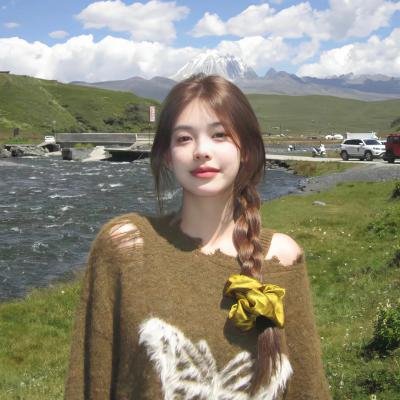对战美洲狮