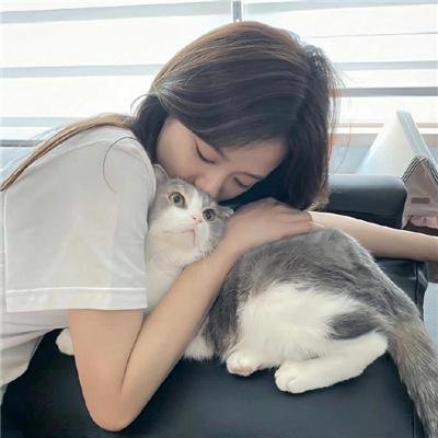 手机里的眼泪